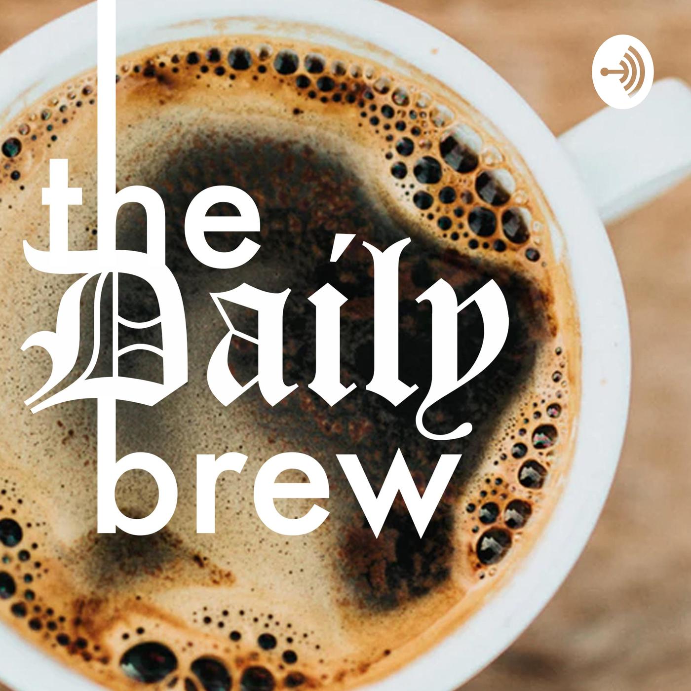 The Daily Brew | The Stanford Daily